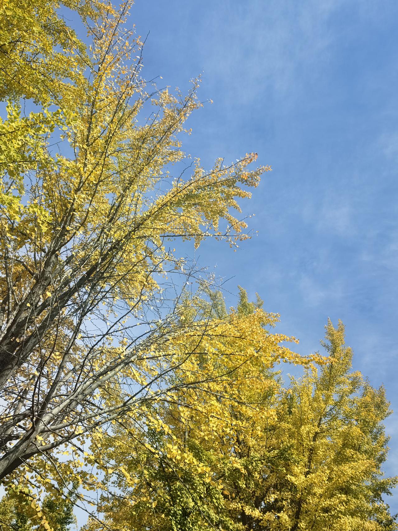 同事今天又去医院看腰了。她才30出头，年纪轻轻，却隔三差五地说腰不好！

今天推
