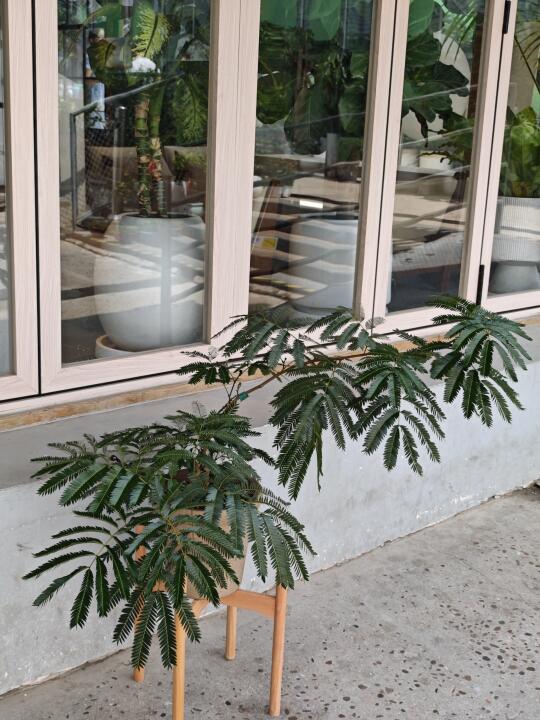不消耗他人能量，不困于无谓纷扰。