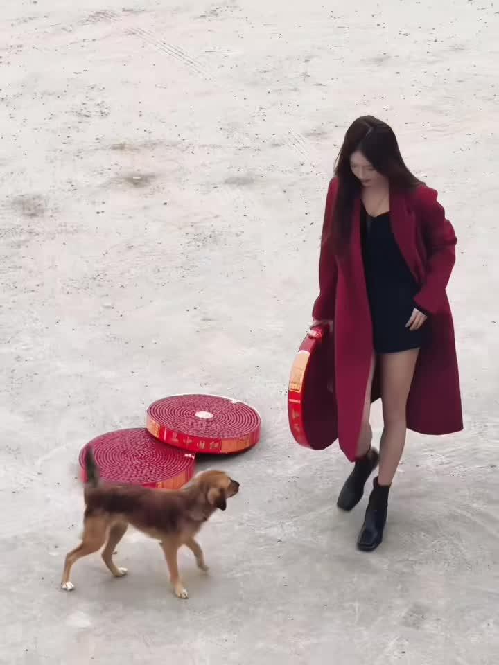 已经设置禁止人机评论了。