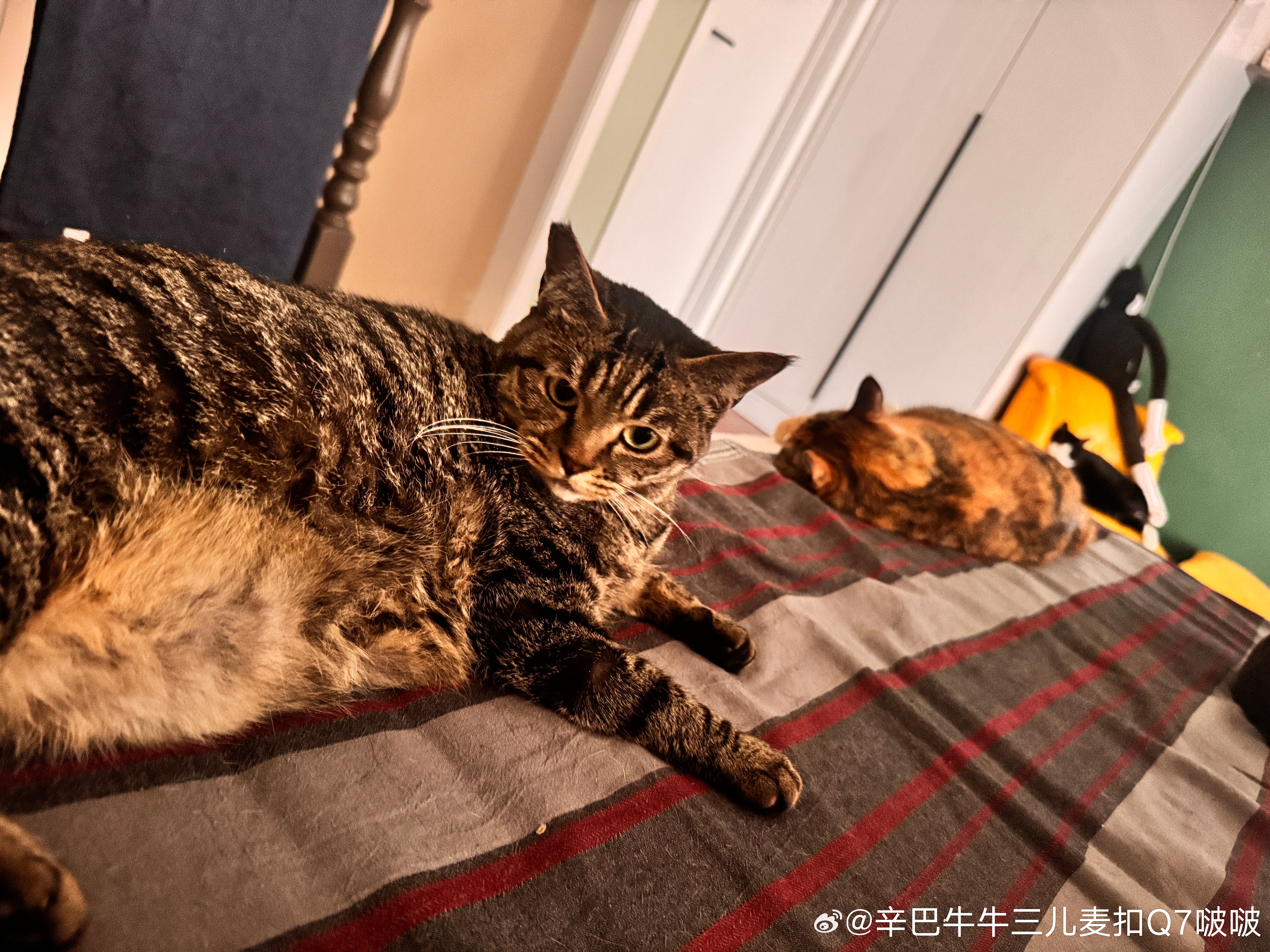 嗨，早呀