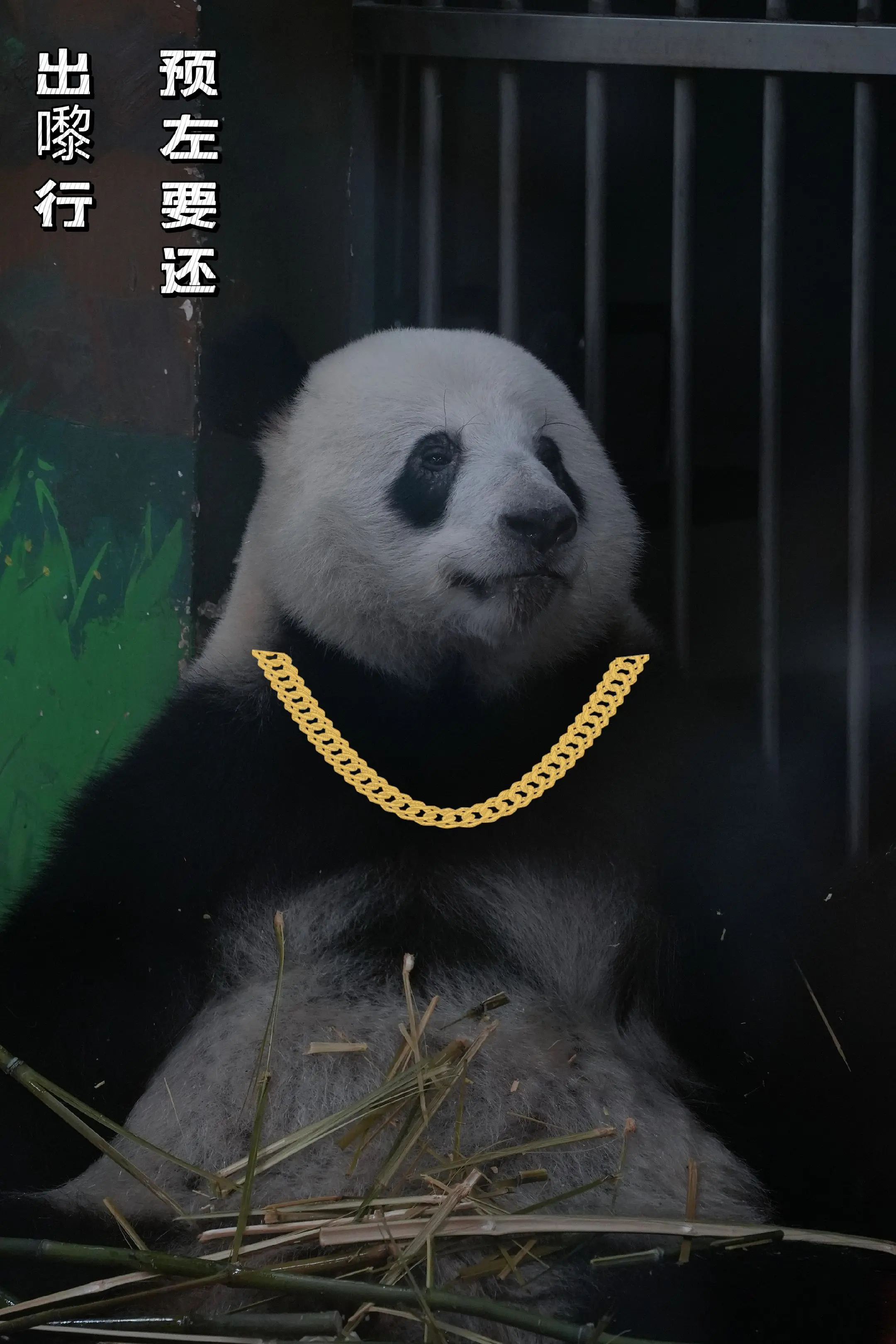 看到星一，你们会想到什么？