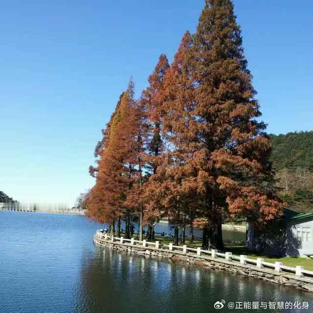 善良的人都熟，而且都被坏人催熟了。早安善良的人永远善良好人与坏人现实社会大实话2