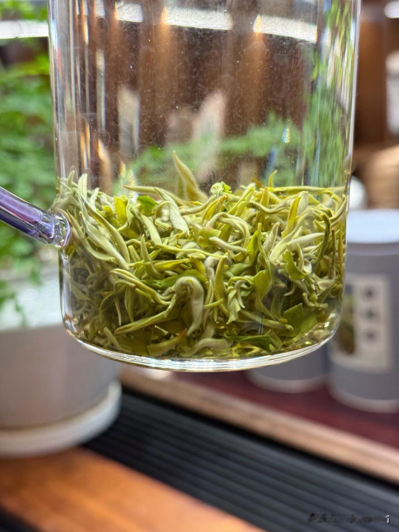不愧是春日好茶
碧螺春口感特舒服了
鲜味儿十足，清甜回甘
喝着解腻又解渴，越品越