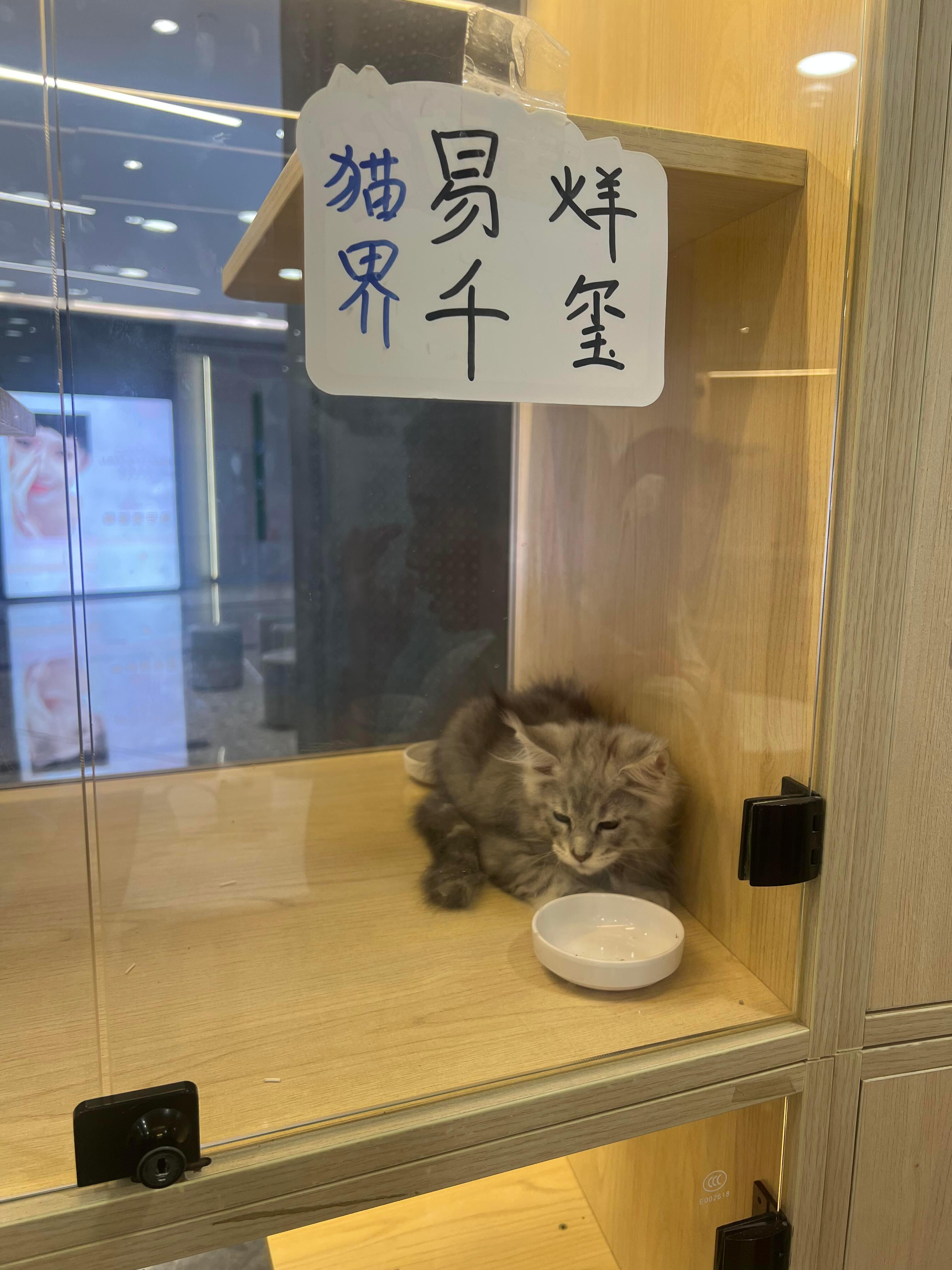 你别说还真的有点像