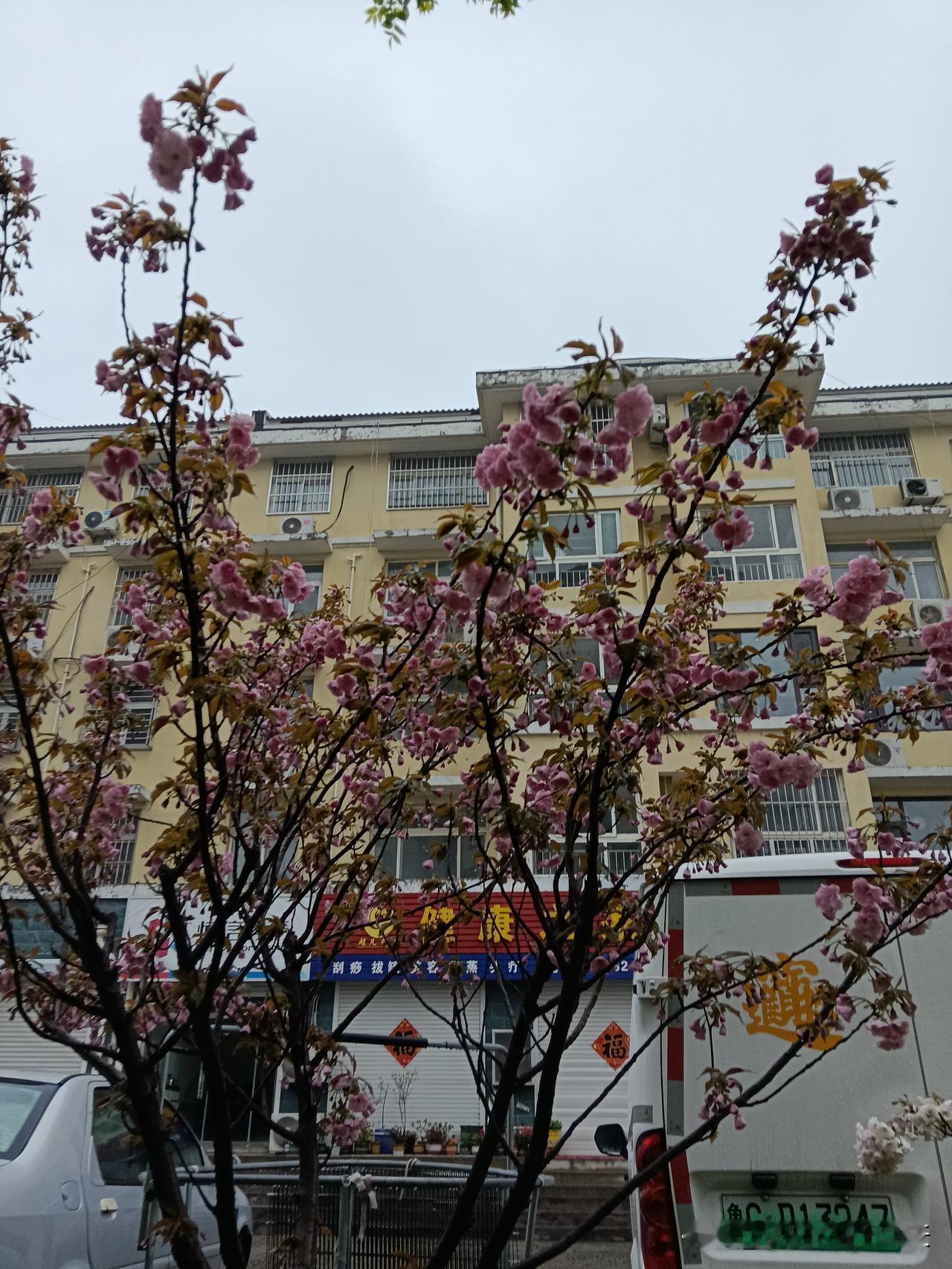 不管你信不信，从车可以看出男人混得如何
1．没钱的人一开长安。
2．打工的人一开