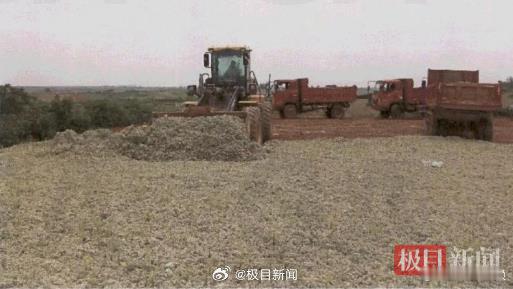 土黄金…一查五十多块钱一吨，但还是那句话，君子好财取之有道[不愧是你]男子盗挖8