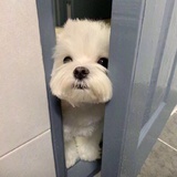 珺敏爱聊科技