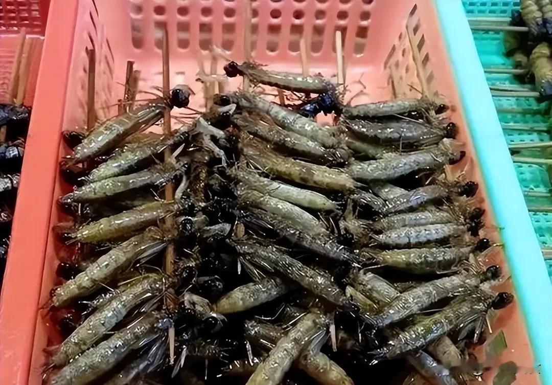 一年捕食三千只蚊子，八年才缓慢长大，竟被人类当作美食疯狂捕捉
 
如今城乡池塘、