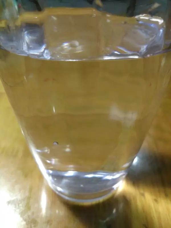 除了水，有不少饮品也很解渴。淡盐水是出汗暴渴时的首选，能极速补充流失盐分，早上空
