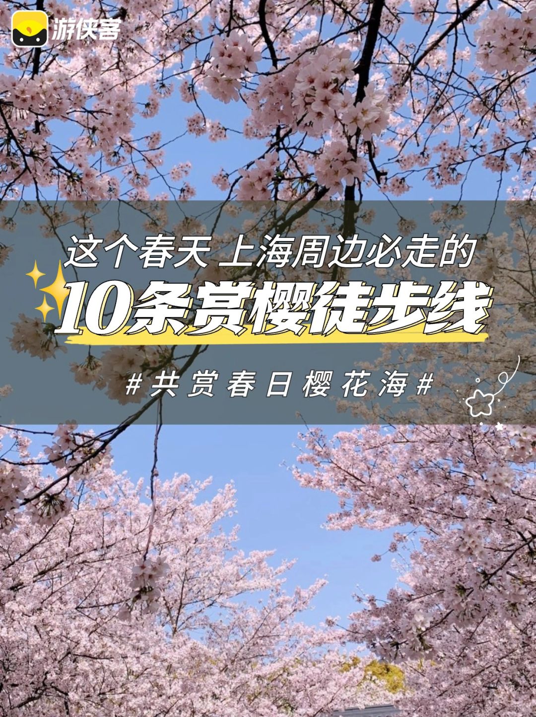 这个春天，上海周边必走的10条赏樱徒步线🌸