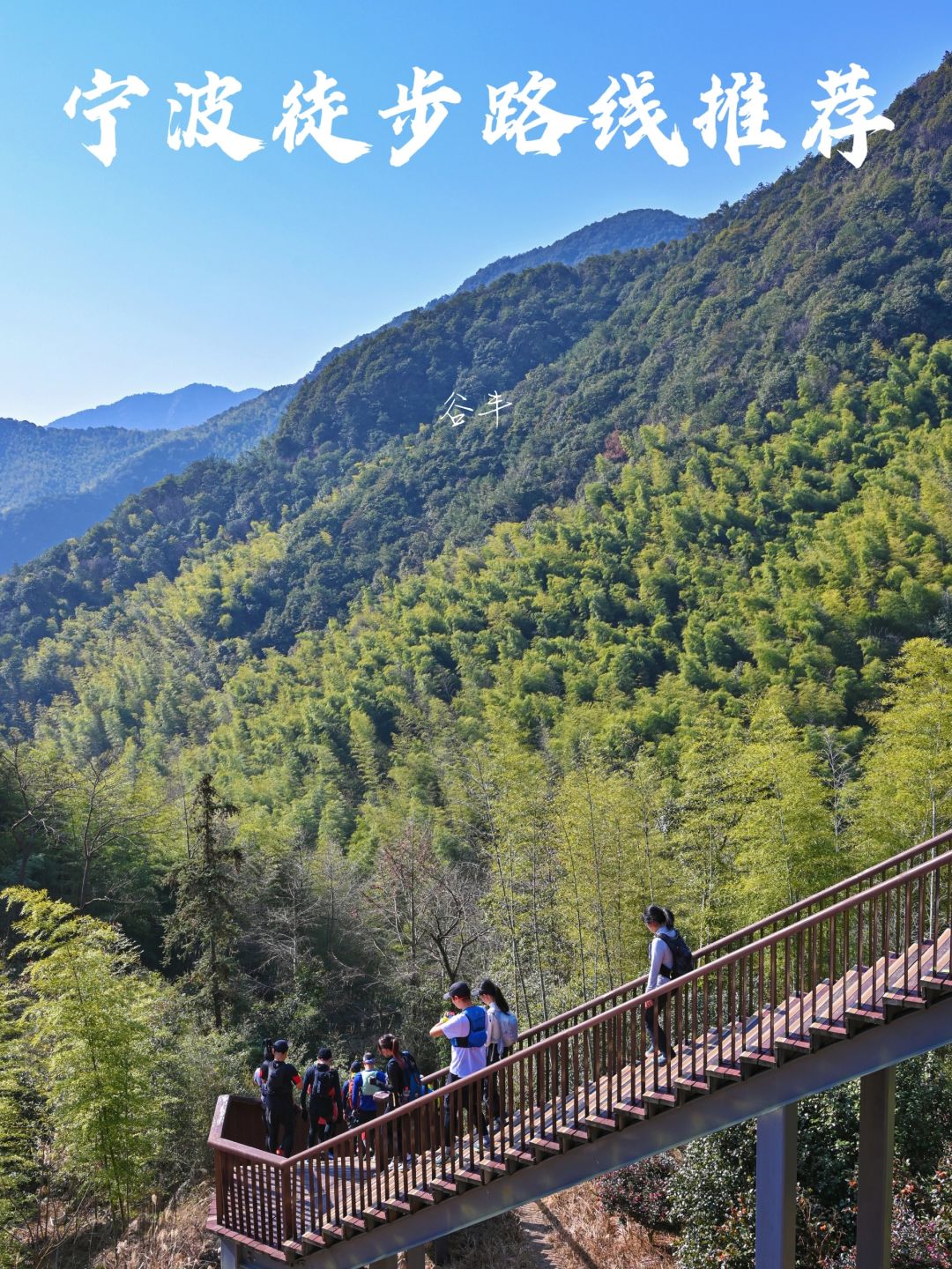 宁波徒步|走进四明山森林氧吧的冬日山野