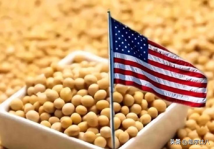 鲁比奥和赫格赛思接连放话，直言没美国北约就是空架子，盟友拒用基地、不帮忙，那美国