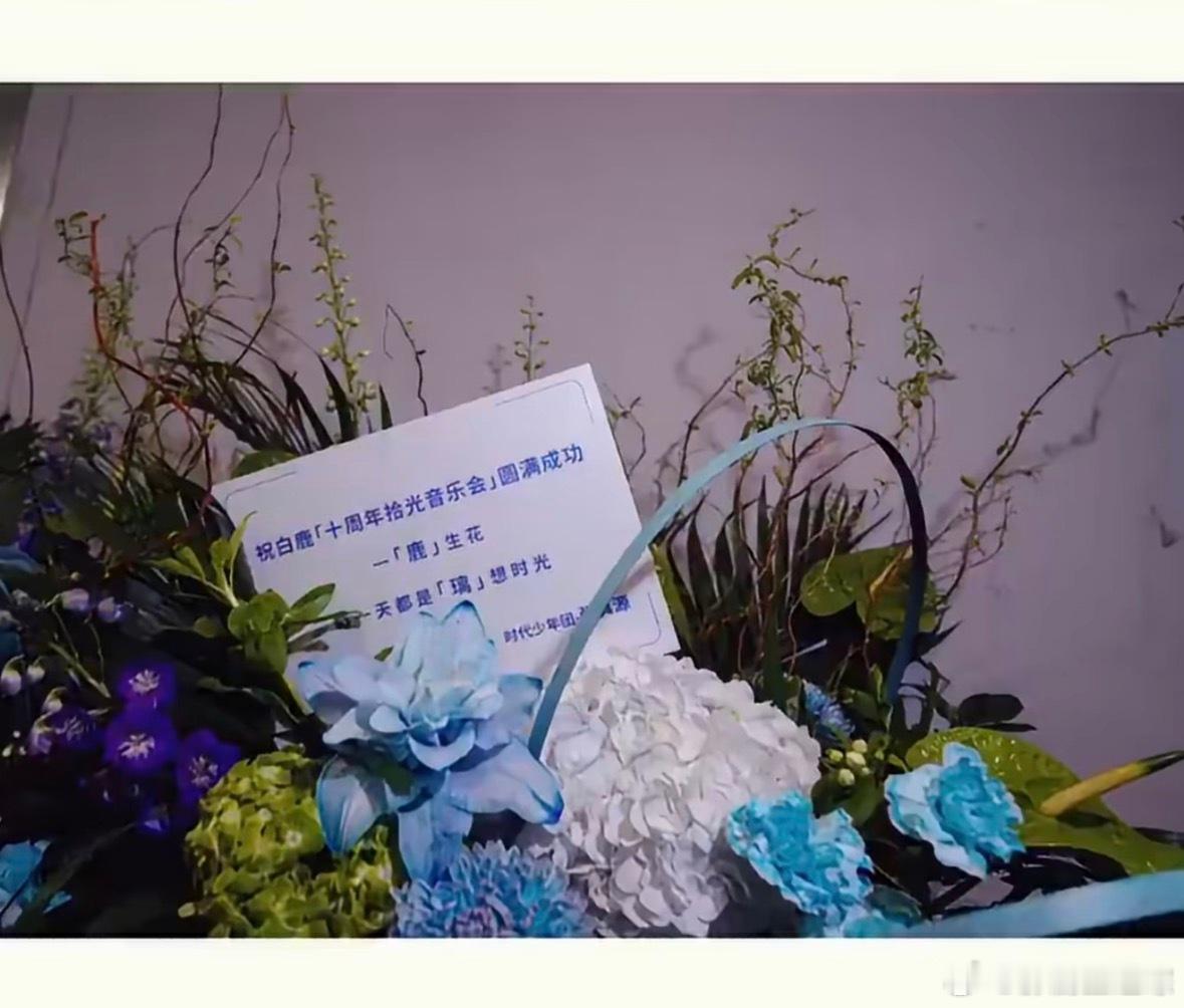 原来真源还送了花篮 真好🤲🏻好用心啊 还有角色名字在白鹿张真源 ​​​