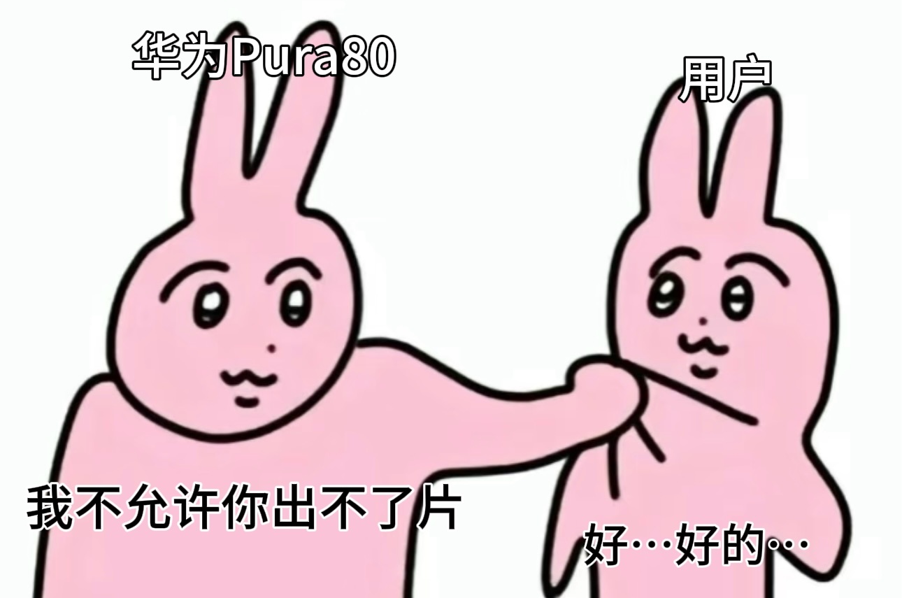 我趣！华为Pura80的这个辅助构图功能对我这样的手残党非常友好！！假期和朋友出