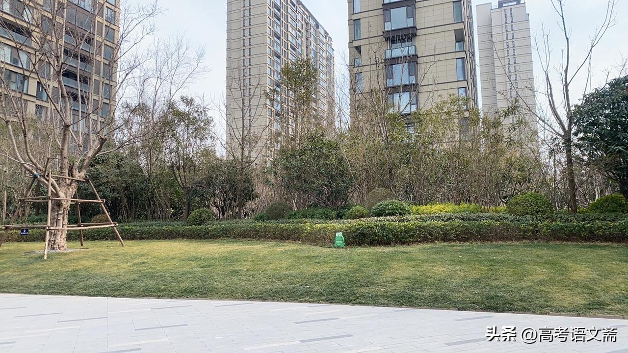 新年生活图鉴城市绿洲，静享自然与现代的融合。