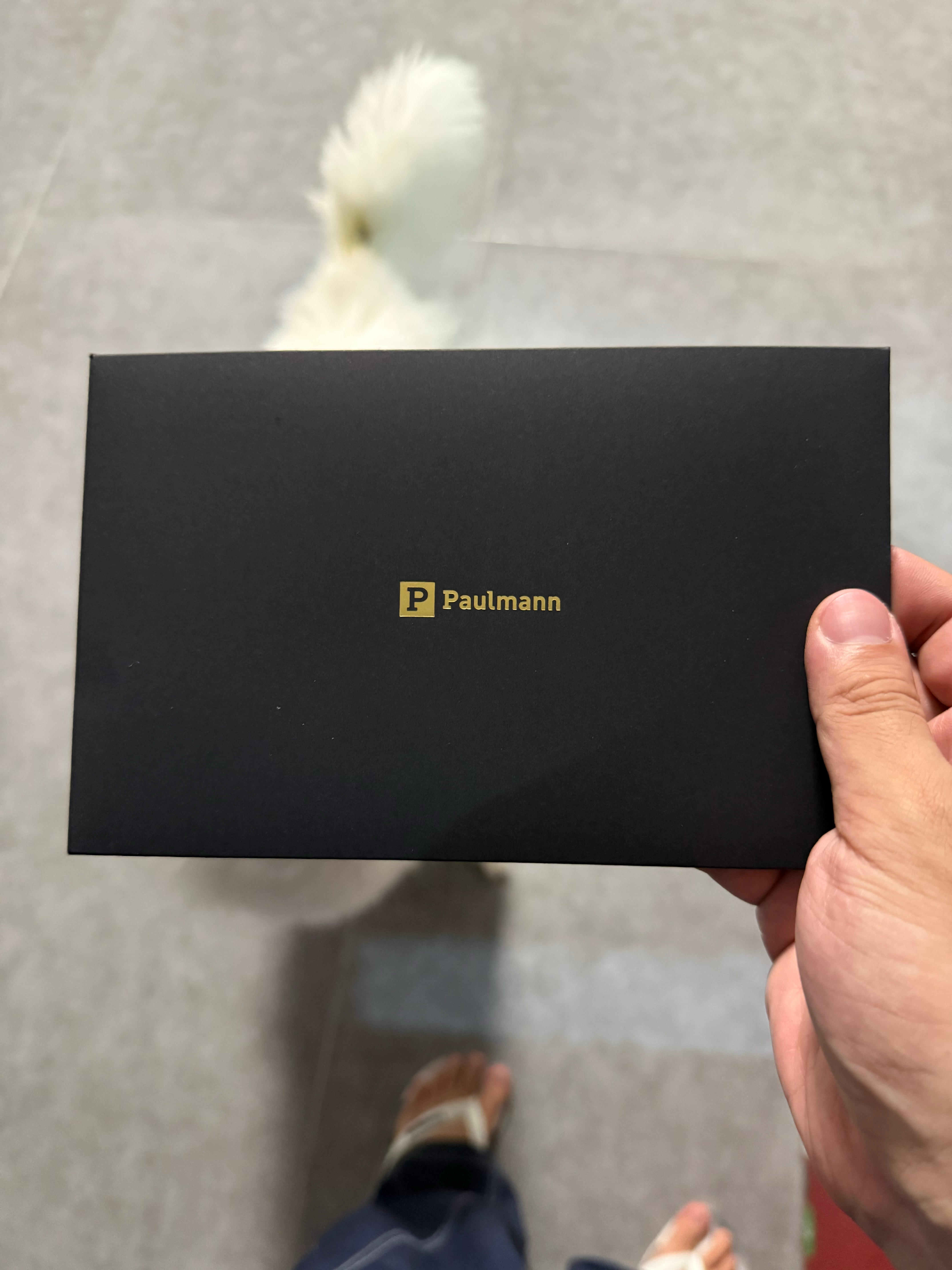 对品牌的好感度不仅根植于产品好坏，还建立在细节和人文关怀上。Paulmann的灯