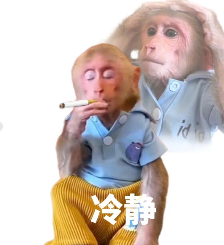 月薪3K带月薪5w体验低消费的一天 大早上的，给牛马点盼头好嘛[苦涩] ​​​