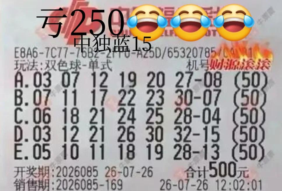 中大奖啦！250倍票中了250，最后亏了250，实在是有趣[捂脸][捂脸]晒图笔