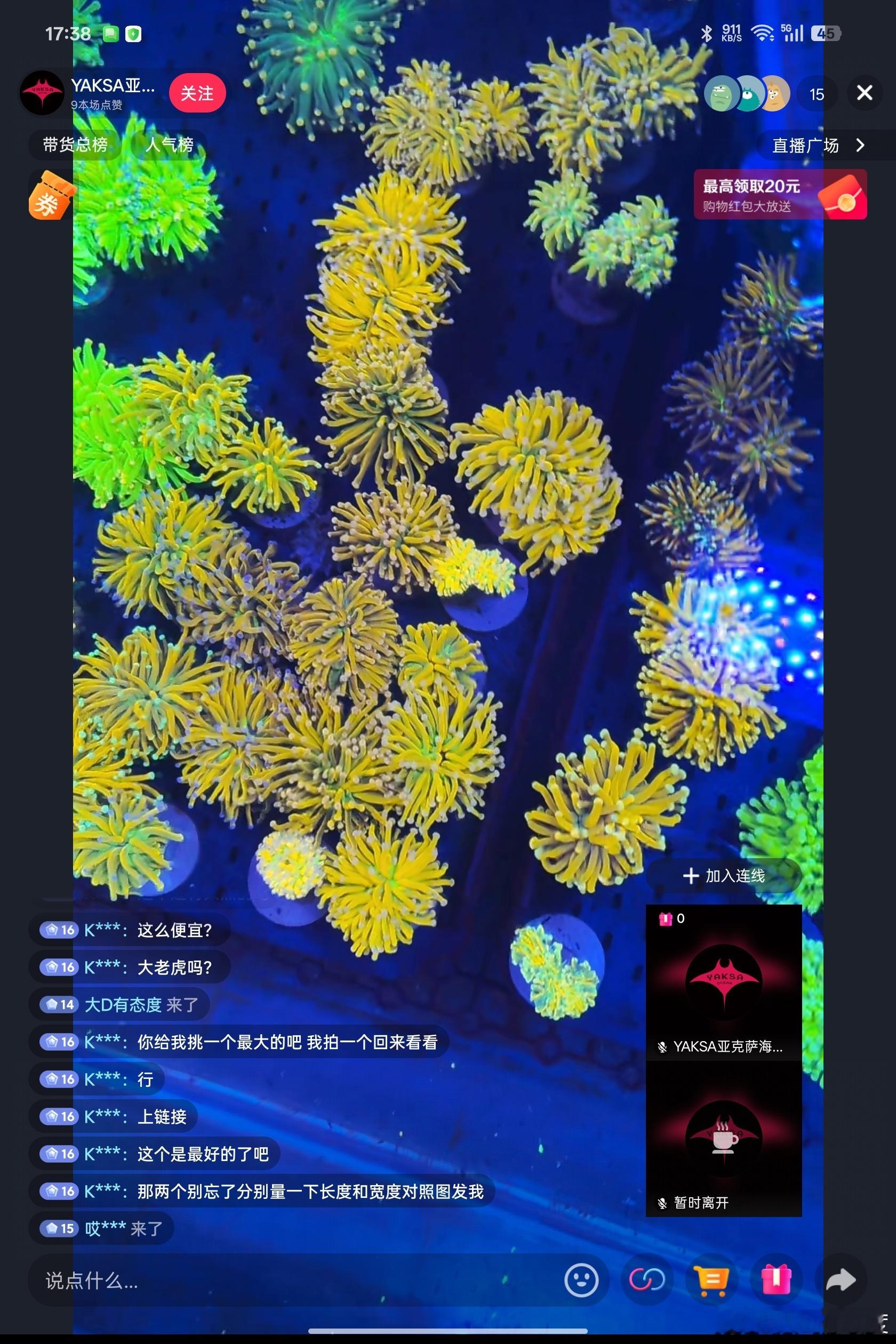 靠，好看的海葵咋这么贵，看中的大几百甚至四位数… 