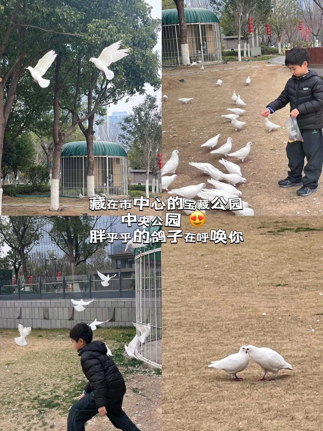 藏在市中心的遛娃胜地｜中央公园