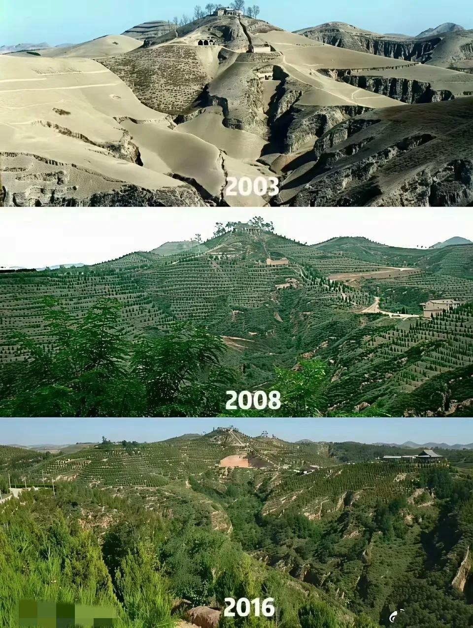 不是西北人，不知西北景！这变化不是一点半点！[赞]