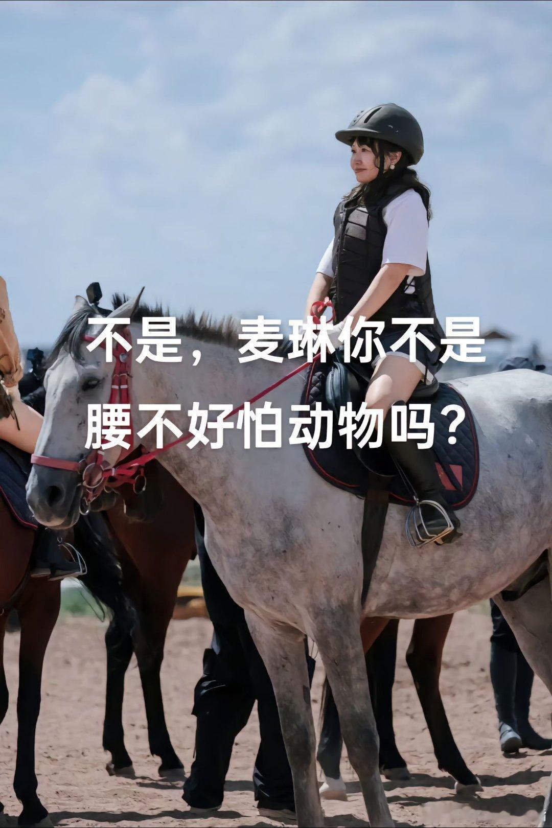这里我们要用到两个理论：《亮琳纠缠》和《薛定谔的琳》。解析：麦琳怕不怕动物，长期