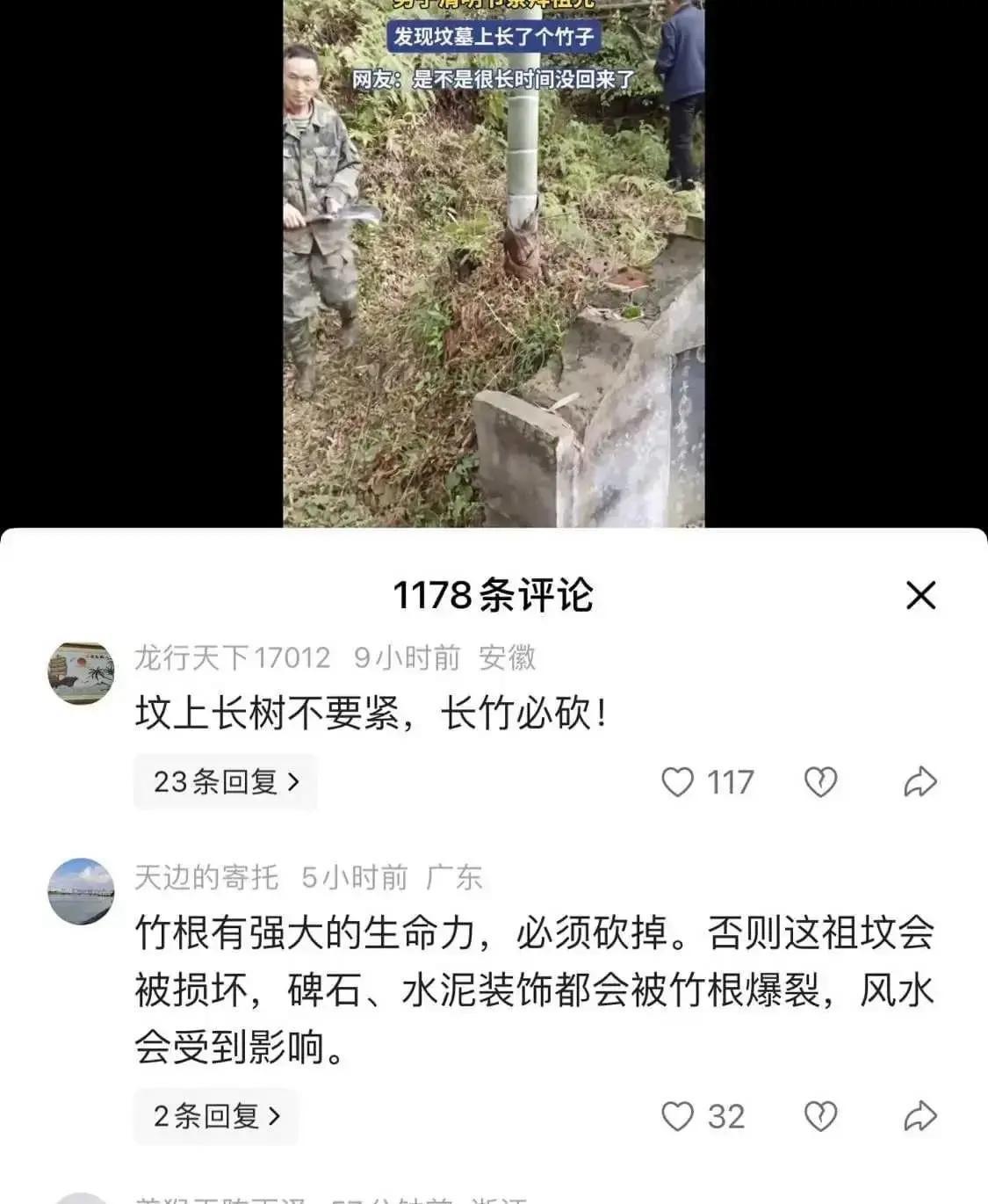 活久见！23年前爷爷去世前亲手埋的笋，居然从祖坟里长出来了！

近日，江西一位男