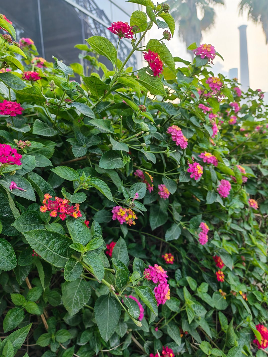 又是新的一天，加油！每天早起打卡