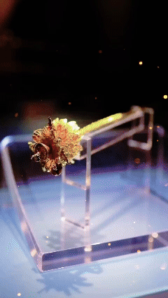 这支宋代莲藕金簪，没有故事。但你一定听过“木盒夹层藏宝”的传说——丈夫临终赠妻，