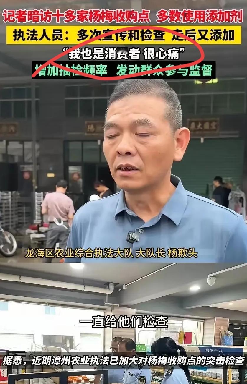 这下好了，不仅传出了漳州，估计都传到全国了吧，怕是要上央视新闻了吧！漳州杨梅这事