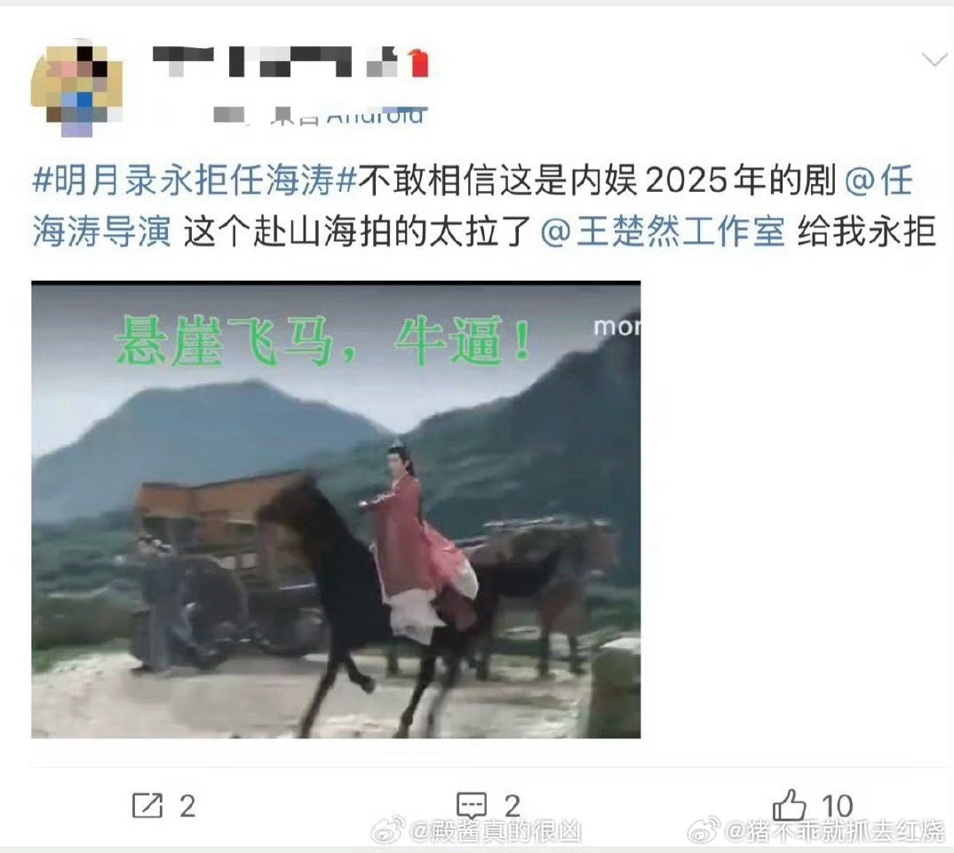 要我说，内娱各家纷纷开始永拒自家剧导演任海涛的时候，只能说明赴山海拍的真的很拉。