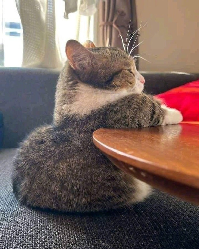 “   沉淀自己的最好方式    就是在繁华中自律    安静处自省 低谷时自强