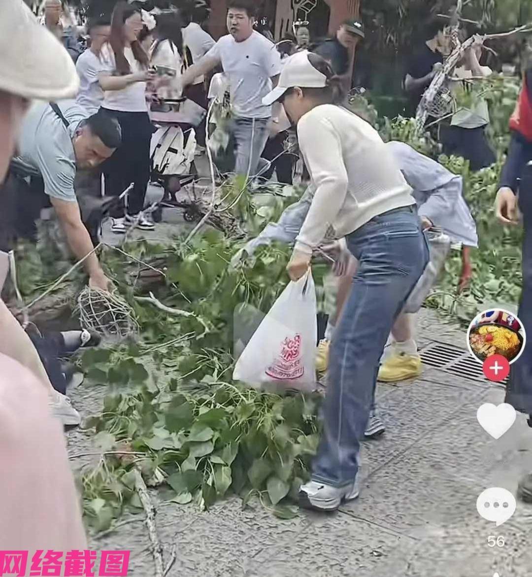 河南开封万岁山武侠城内，中午时有棵树突然倒塌，让路过一些游客并同遭了殃，看来景区
