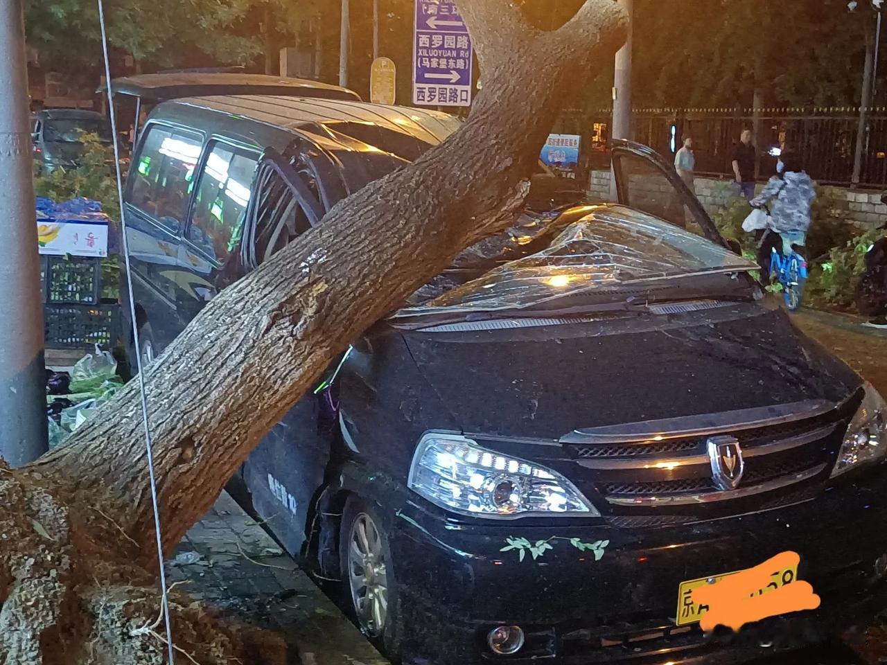 今天这场雨破坏性太强了！ 
小区旁这条街成了重灾区！
​一路走来，光车就被砸了好