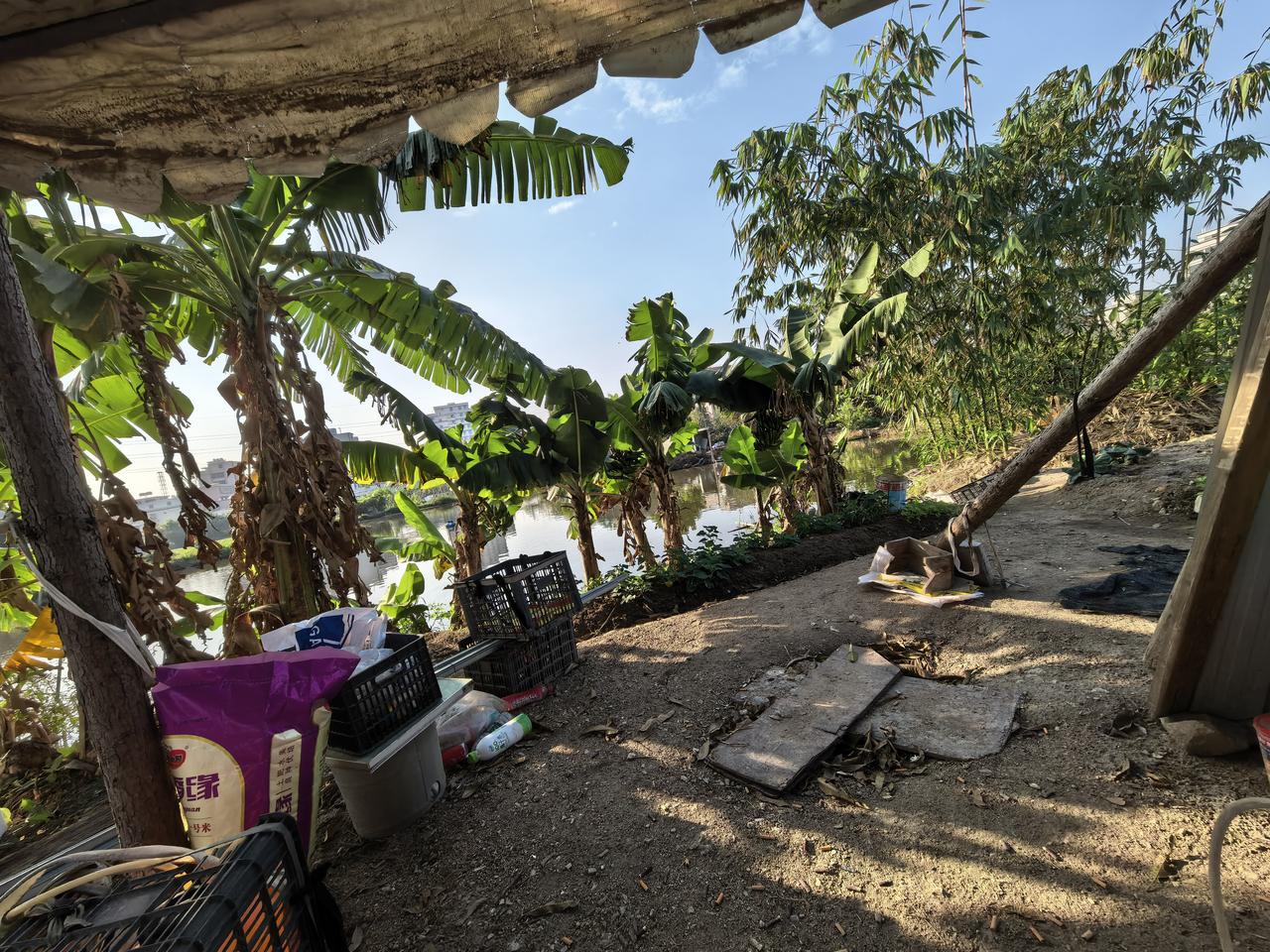 跟我婆婆一起去种菜后，我明白了做人要懂得知恩图报。
我婆婆喜欢种菜消磨时光，可外