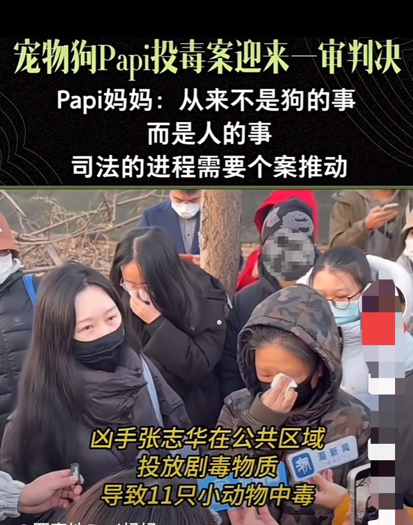 庭审过程李女士联合另外10只宠物主人在法院门口聚集，镜头下个个泪流满面，纸巾都挡