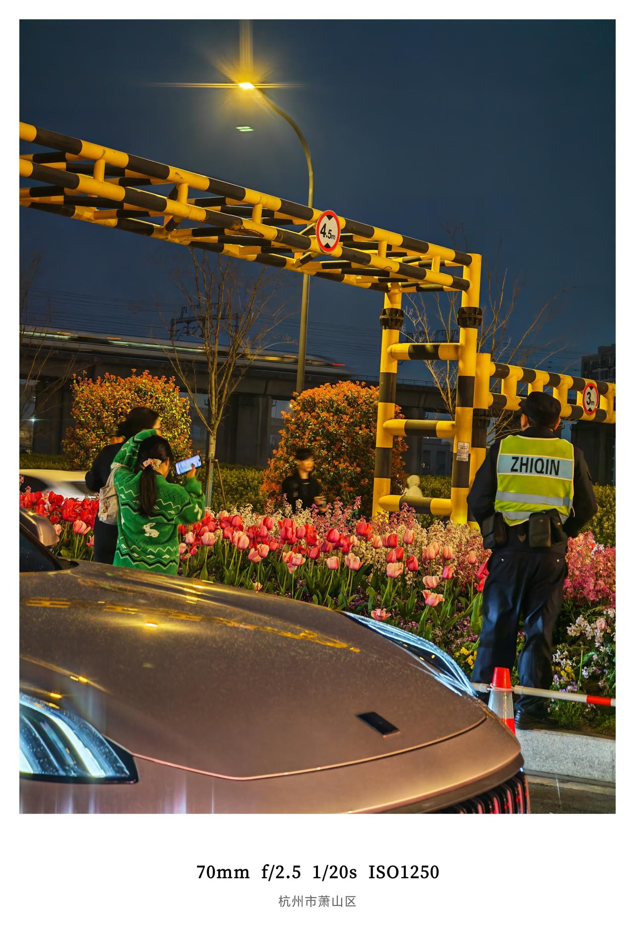 路过杭州最近超火的绿化带打卡点
没想到市政还特地占用了一条车道
通过围挡和现场专