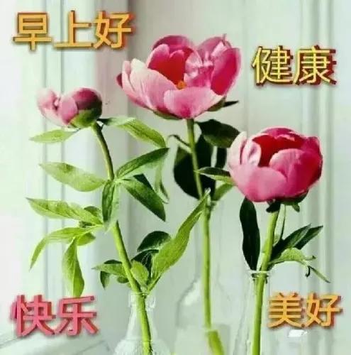 人来世间享自由
只为一生把财求
再难也要坚持过
也许那天混出头