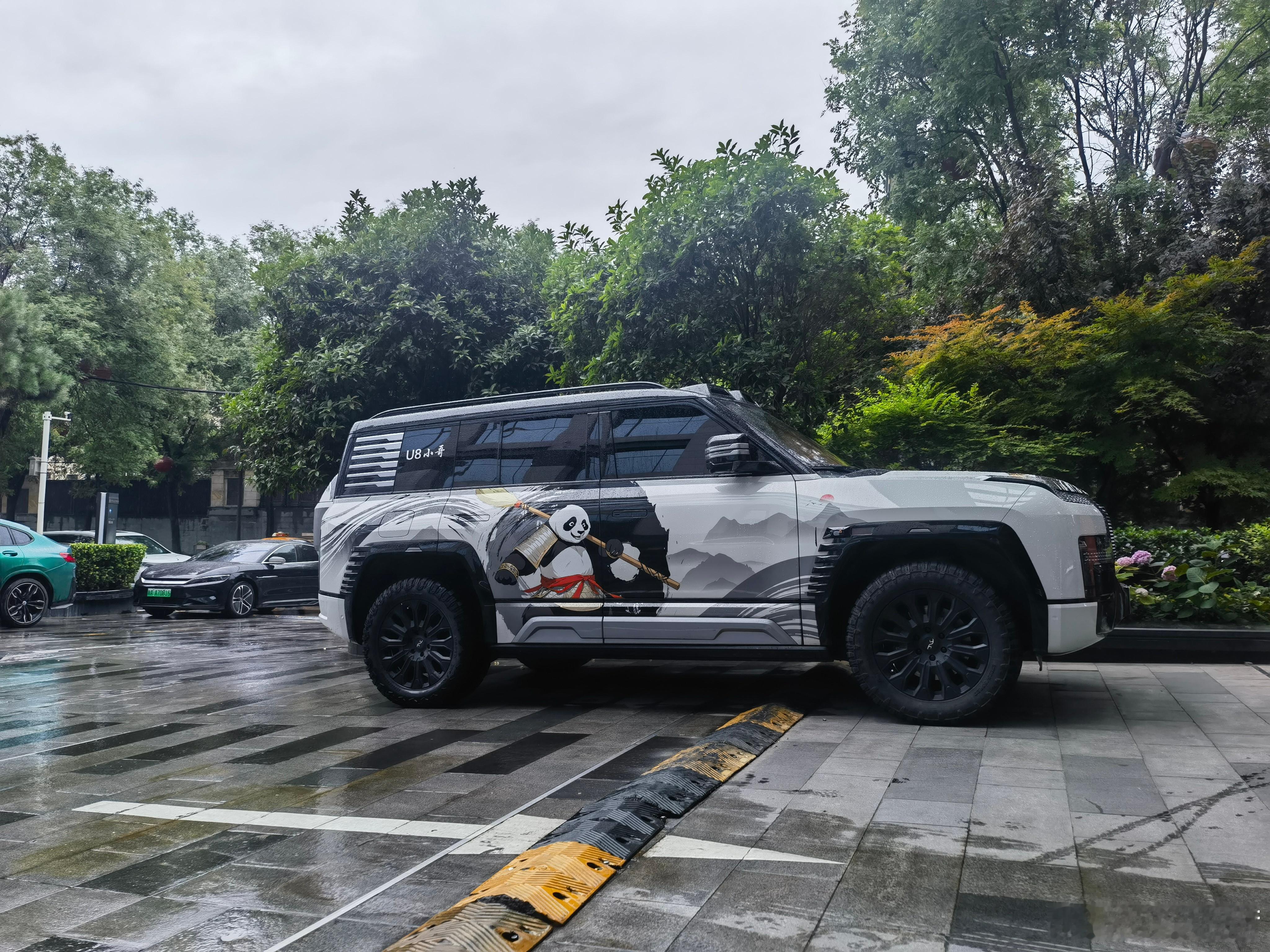 真正的大哥一般都跟别人不一样。这个#仰望u8#小哥，肯定是大哥。#六一儿童节# 