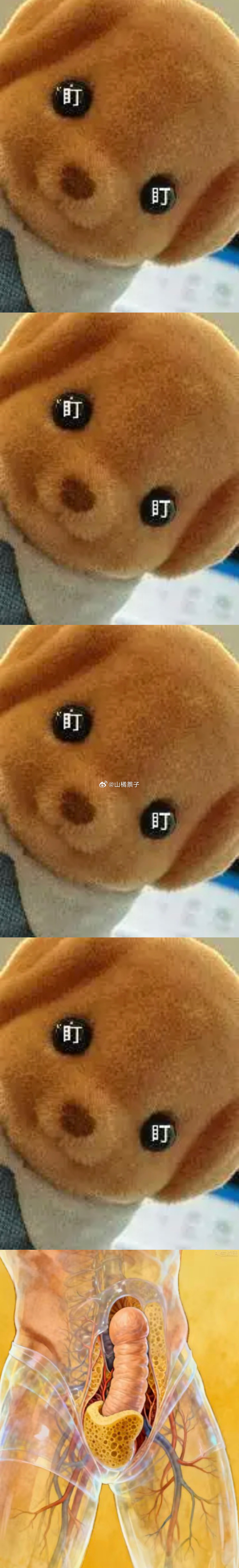 让我看看 