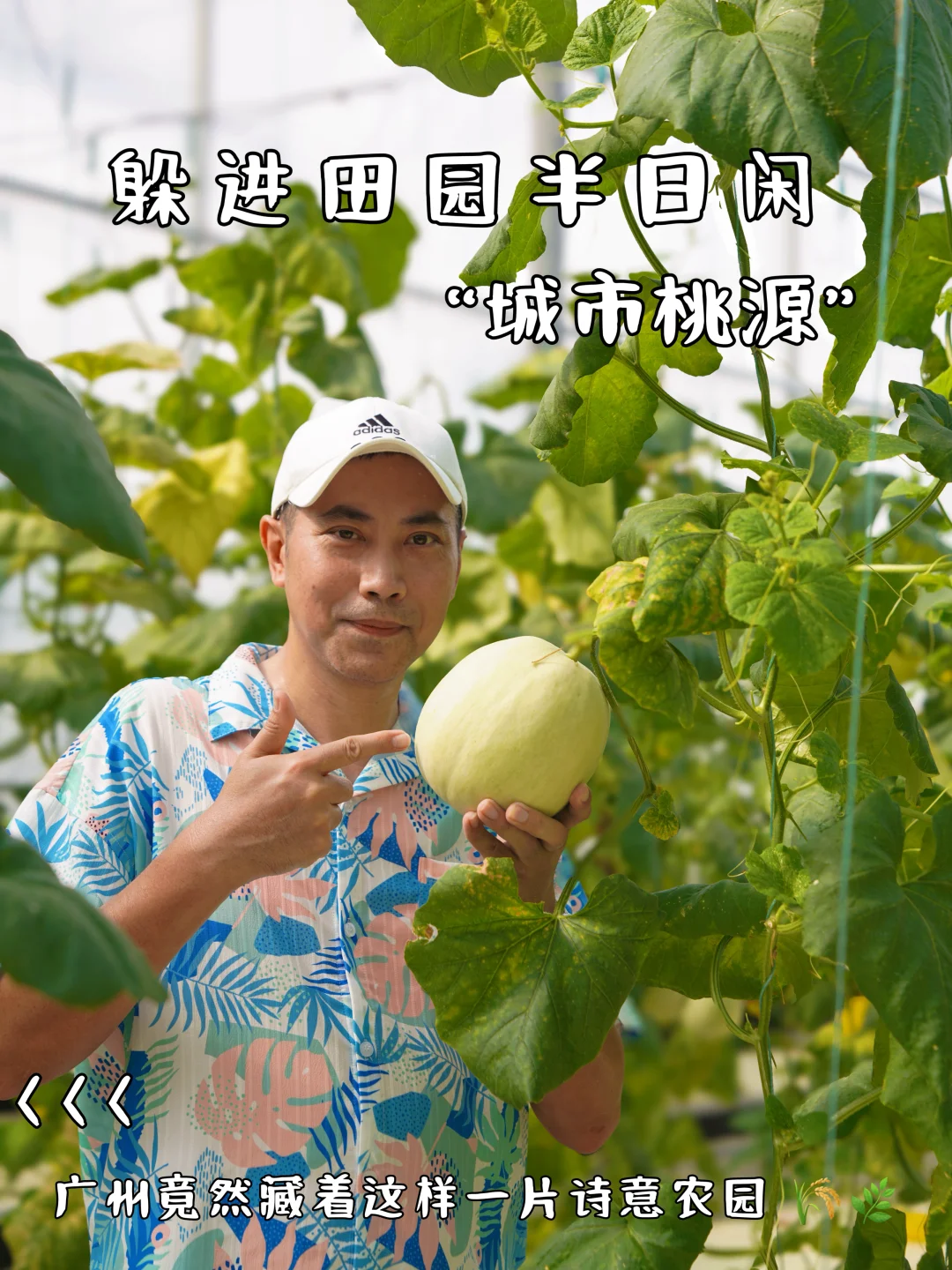 广州竟然藏着这样一片诗意遛娃农园