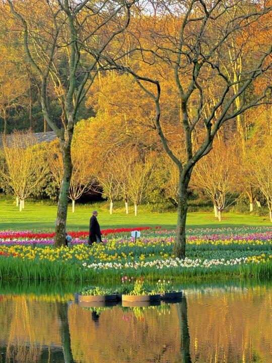 3.18实拍 ‼️早上7点人少的太子湾美的像油画