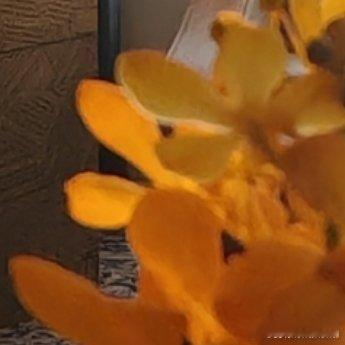 每日一善 如果总是用失衡的思维看待，羡慕，仰视那些不属于自己的好事物。你将获得的