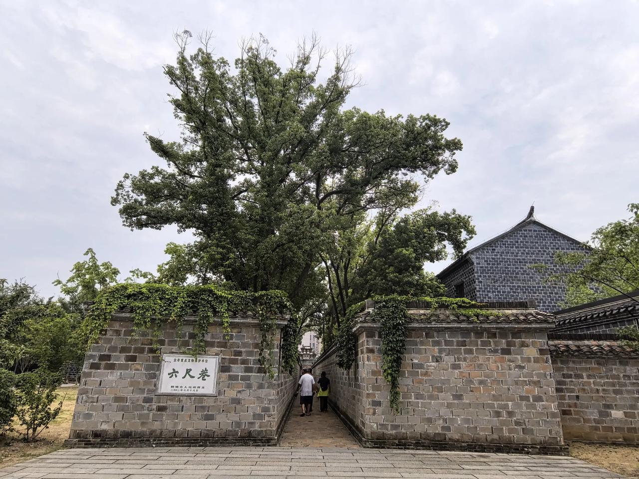 一直以为安徽的桐城是一个地级市，没想到却是一个县级市
久闻桐城大名，中学的时候语