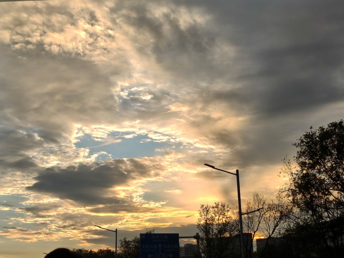 🌇 