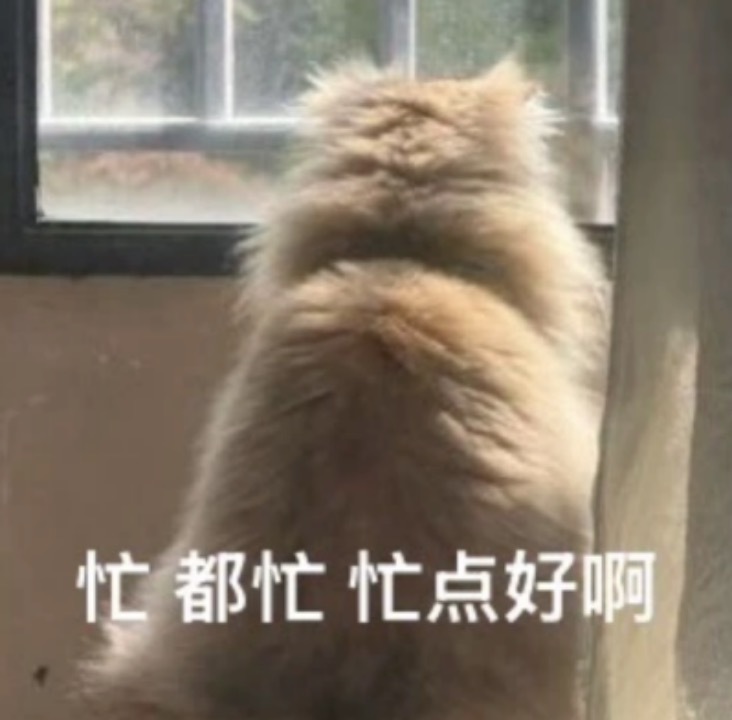 苏超唯一的团粉是担架队感觉担架队很忙，但是不知道它在忙什么，操心球员受伤还得操心