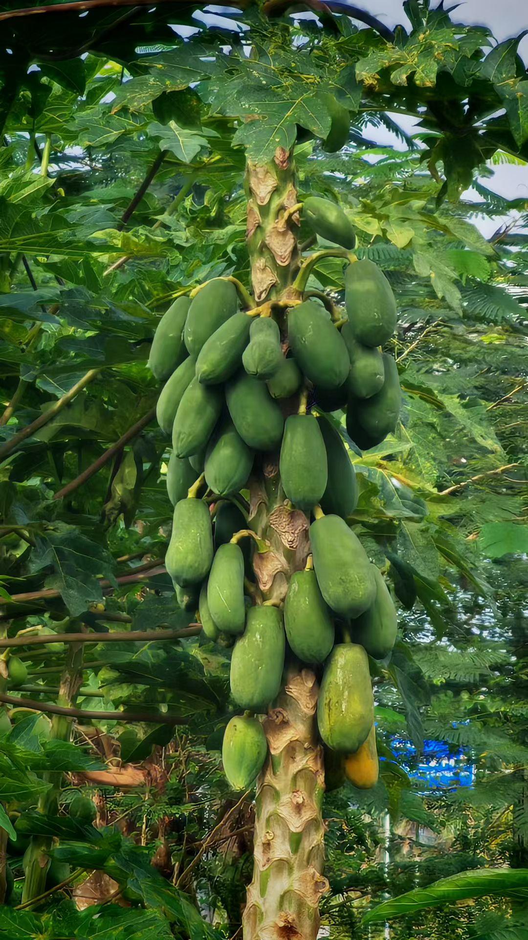 凌晨两点的胃疼，比闹钟还准时地把我从梦里拽出来。蜷在沙发上抱着暖水袋，翻遍通讯录