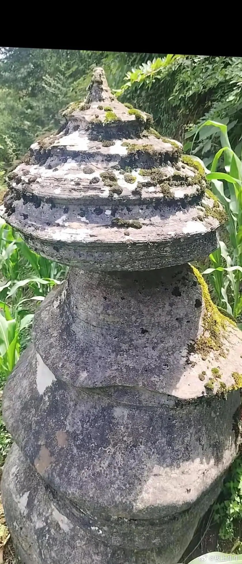 找个飞机掉回家，搞来做盆景， 