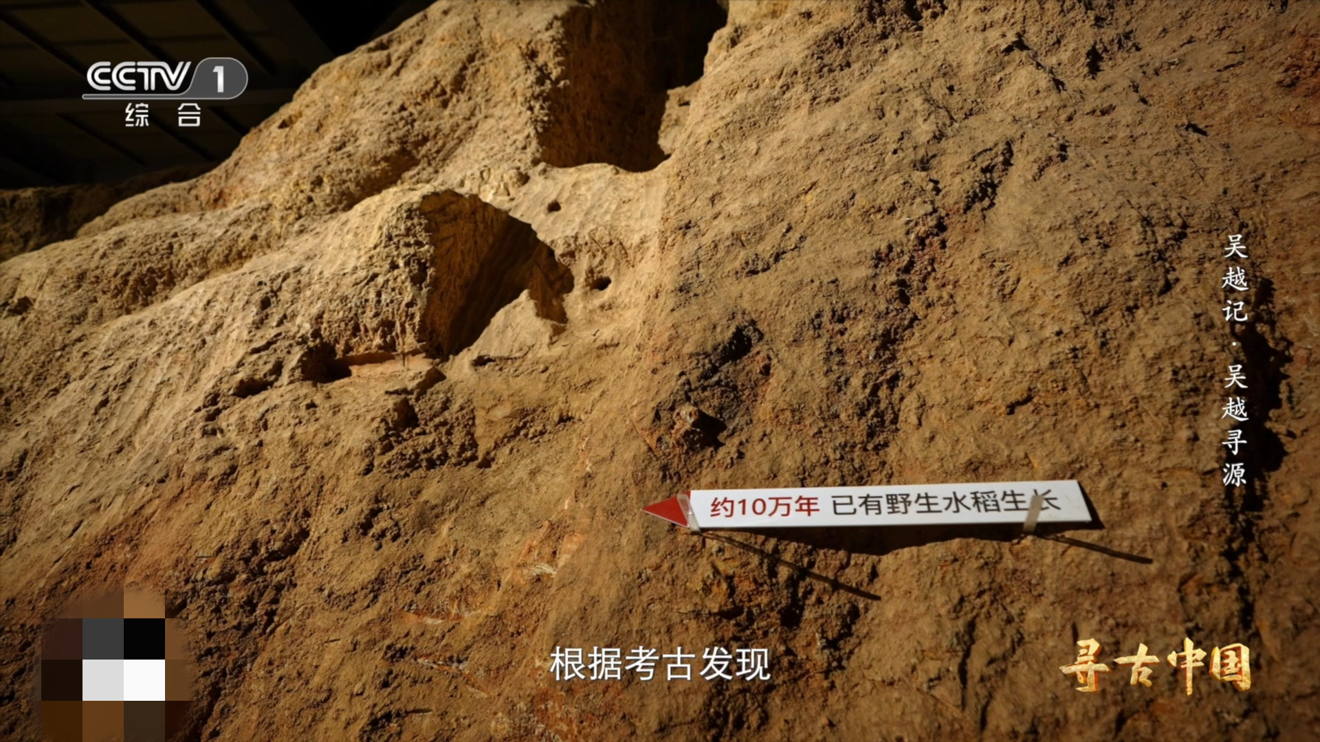 中国人1万年前就吃上了稻米 颠覆认知！世界最早稻作痕迹在浙江上山遗址，掺稻壳的陶