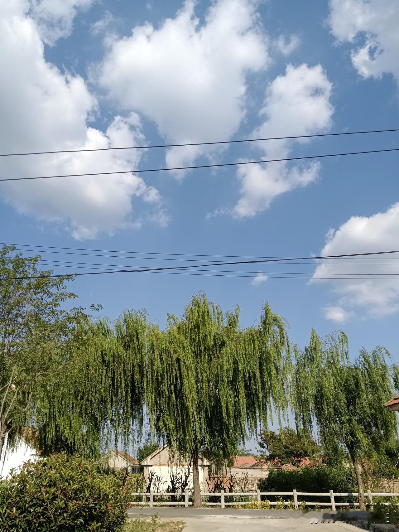 亚运会男团失冠，谁难辞其咎？
1，王楚钦。
按照国乒以往的表现，作为男队队长，做
